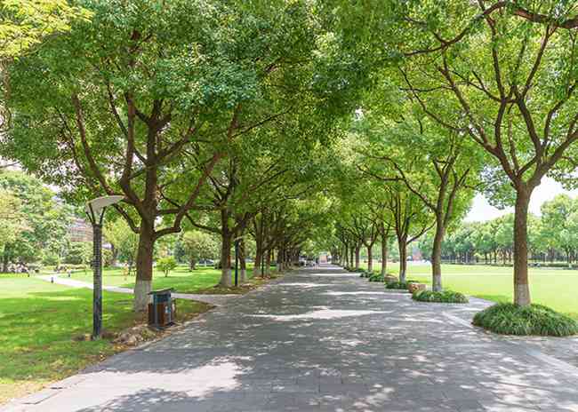 四川城市技师学院是职高还是技校