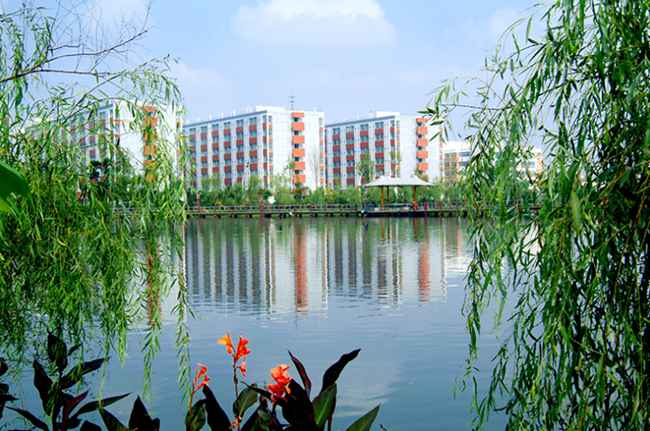 成都市文化艺术学校音乐表演专业钢琴声乐管弦乐_成都市文化艺术学校