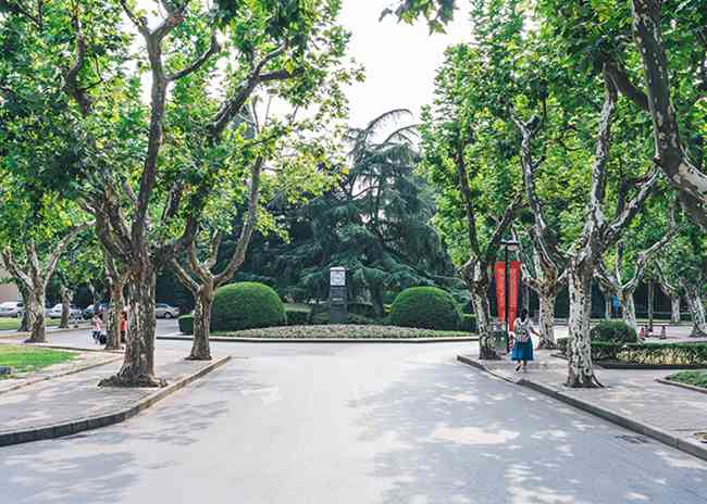 成都郫县希望职业学校升学班可以升什么样的大学