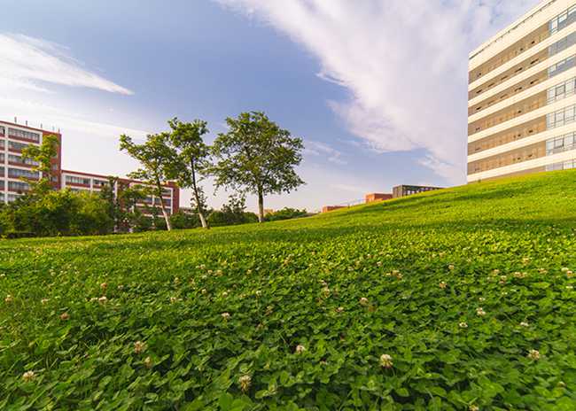 四川城市技师学院是职高还是技校