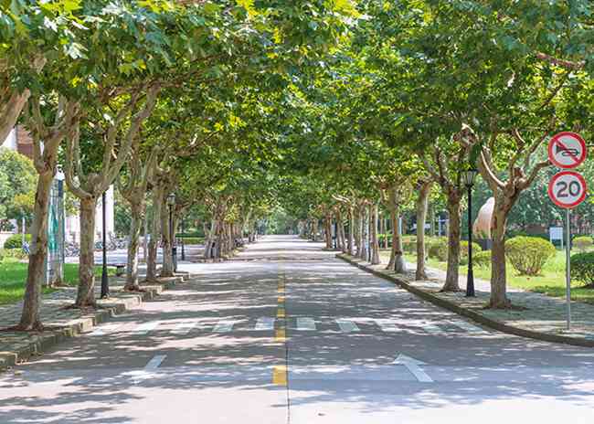 成都五月花职业学校有升学班吗,四川五月花技师学院升学部怎么样